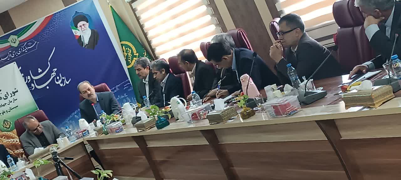 تولید صددرصد بذر دانه‌های روغنی در تعاونی‌ها /اجرای برنامه هفتم دولت مهم‌ترین اولویت تعاون روستایی_0